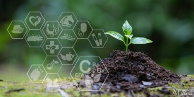 Risperidone Alternatives