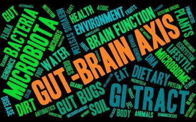 gut microbiome brain connection