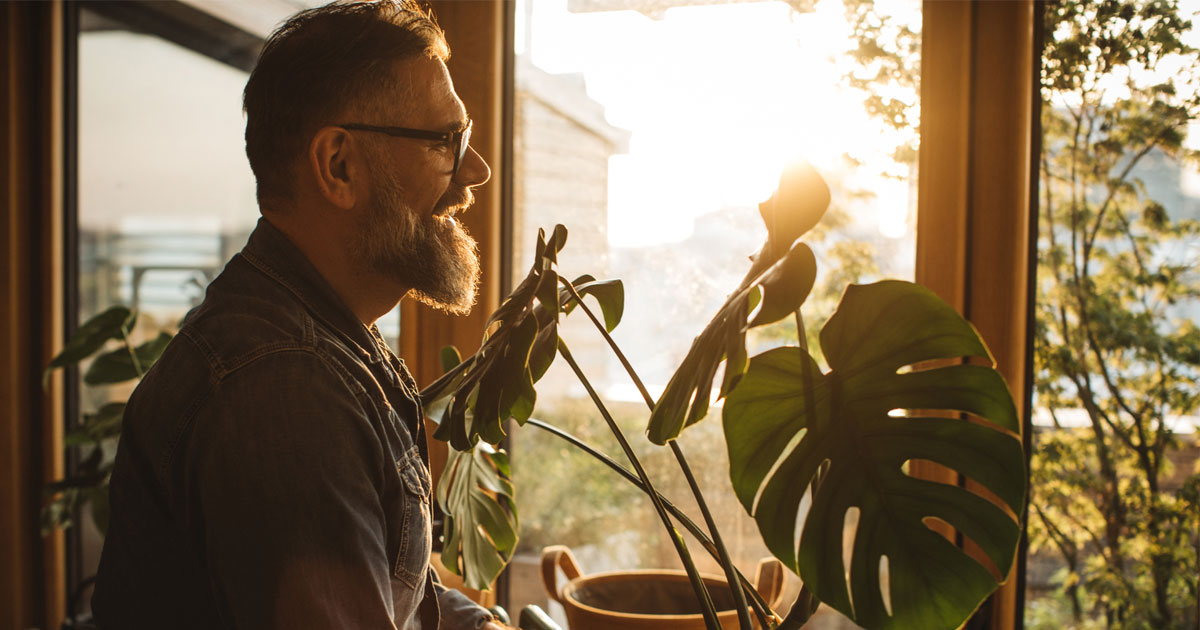 Emotional Support Plants