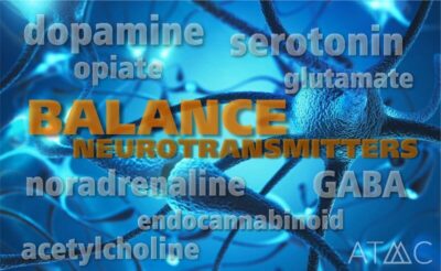 balance neurotransmitters