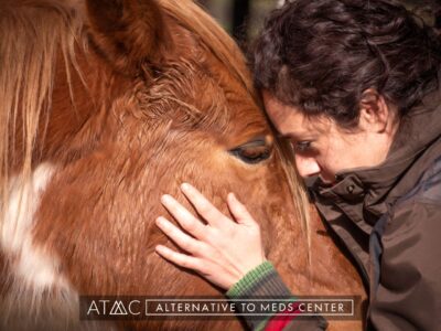 equine therapy for mental health